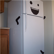 fridge-featured-11-5-13